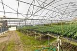 18021 Apshawa Road - Photo 24