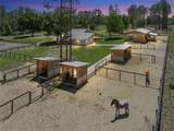 20701 County Road 44A - Photo 16
