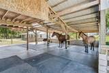 20701 County Road 44A - Photo 30