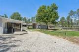 20701 County Road 44A - Photo 41