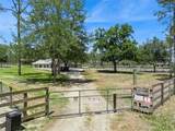 20701 County Road 44A - Photo 71