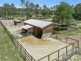 20701 County Road 44A - Photo 8