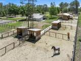 20701 County Road 44A - Photo 9