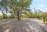 1140 Gallant Fox Way - Photo 39