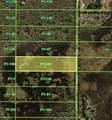 33892 Oil Well Road - Photo 5