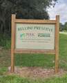 8 Flatfish Drive - Photo 21