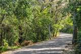 345 Free Range Drive - Photo 12