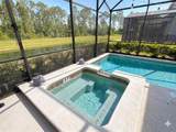 2997 Buccaneer Palm Road - Photo 42