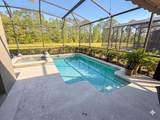 2997 Buccaneer Palm Road - Photo 43