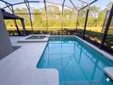 2997 Buccaneer Palm Road - Photo 44