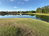 2997 Buccaneer Palm Road - Photo 47