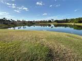 2997 Buccaneer Palm Road - Photo 48