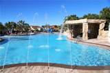 2997 Buccaneer Palm Road - Photo 57