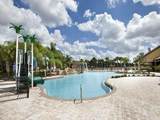 2997 Buccaneer Palm Road - Photo 63