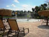 2997 Buccaneer Palm Road - Photo 67