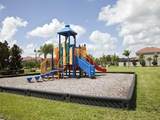 2997 Buccaneer Palm Road - Photo 80