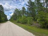 1747 Candleberry Street - Photo 4