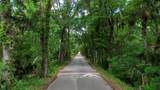 651 County Road 13 - Photo 4