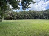 20235 Majestic Street - Photo 7