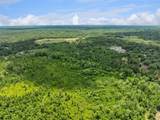  Culbreath Road - Photo 15