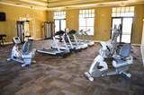 1769 Coriander Drive - Photo 14