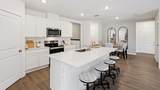 2856 Elio Hammock Drive - Photo 3