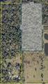 1260 Myrtle Street - Photo 3