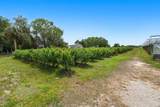 3510 Walk In Water Road - Photo 15