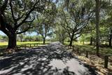 3621 Tipperary Drive - Photo 39