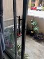 5293 Vineland Road - Photo 16