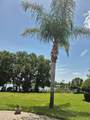 389 Nolane Lane - Photo 47