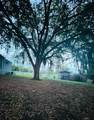 3225 Packard Avenue - Photo 16