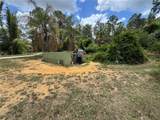 30542 Apricot Avenue - Photo 4