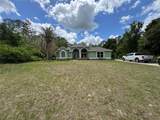 30542 Apricot Avenue - Photo 5