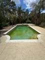 30542 Apricot Avenue - Photo 7