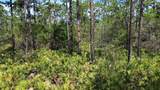  Apopka Vineland Road - Photo 2