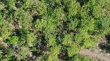 Apopka Vineland Road - Photo 5