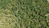  Apopka Vineland Road - Photo 6