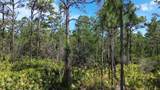  Apopka Vineland Road - Photo 8