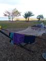 5031 Valencia Street - Photo 7