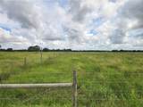  Gough Road - Photo 5