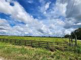  Gough Road - Photo 6