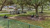 3684 Circle Hook Street - Photo 29