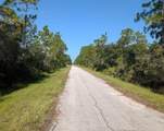 6 El Dorado Drive - Photo 3
