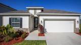 31412 Malbec Drive - Photo 1