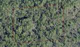  Lake Harney Road - Photo 1