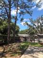 6436 Fig Leaf Street - Photo 24