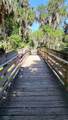 247 Debary Dr - Photo 43