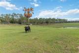 23175 Buckhill Road - Photo 19