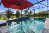 13212 Saw Palm Creek Trail - Photo 3